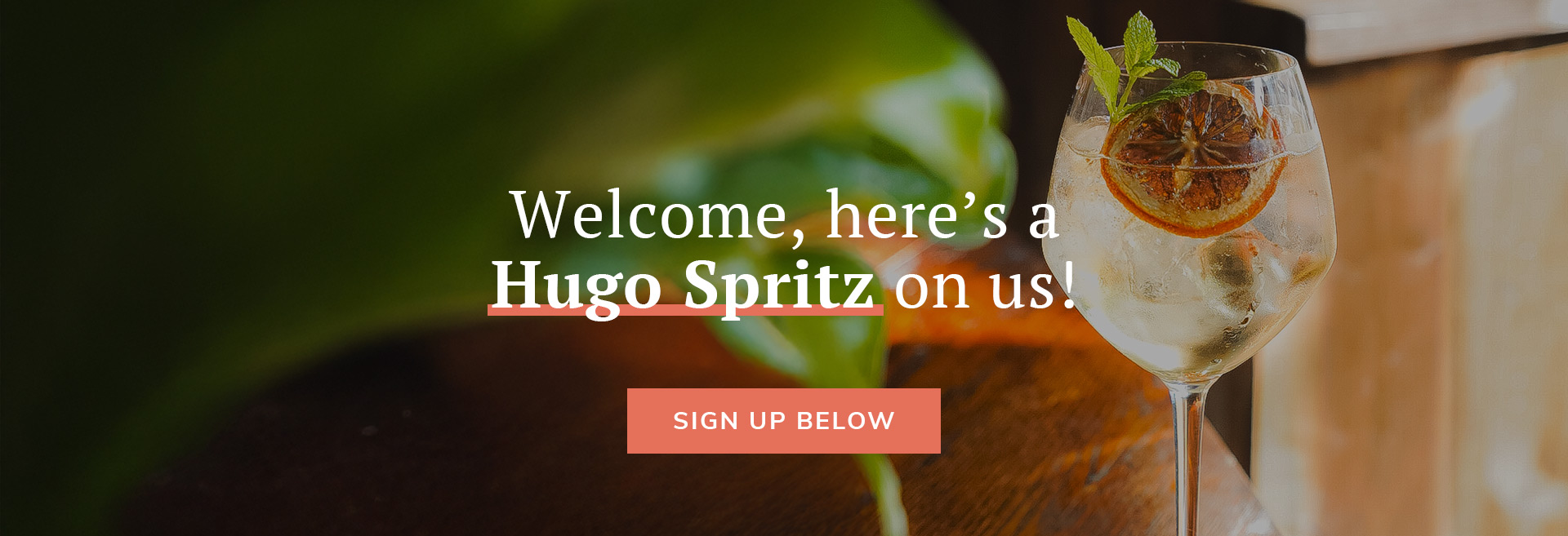 Sign up to the newsletter at The Drummond